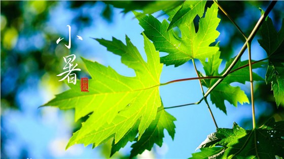 微信圖片_20220707083013.png