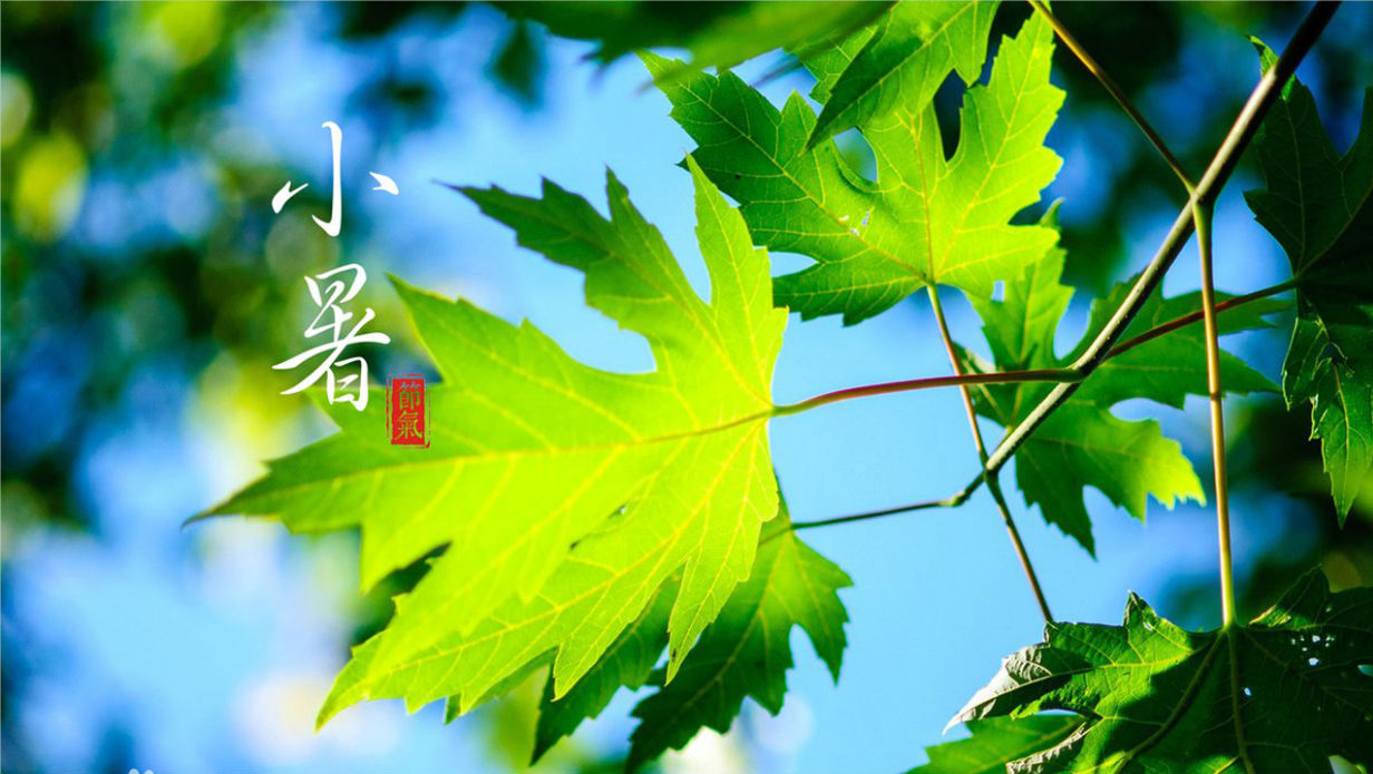 微信圖片_20220707083013.png